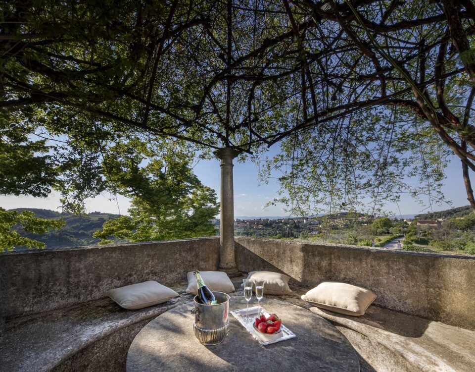 Strawberries and Champagne